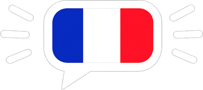 French flag logo
